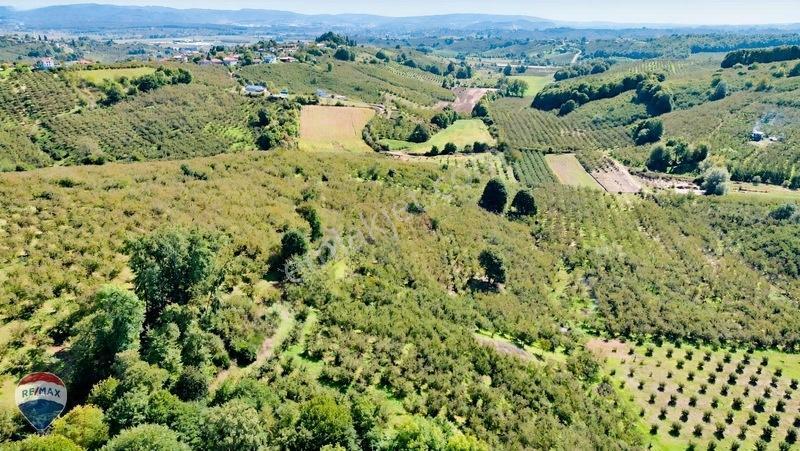 Remax Rıdvan Gedik'ten Ferizli Teberikte 10065 M2 Fındık Bahçesi — fotoğraf 29