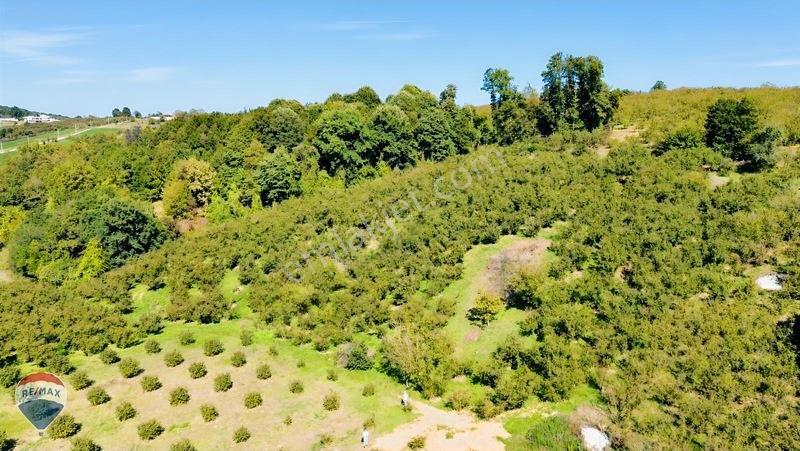 Remax Rıdvan Gedik'ten Ferizli Teberikte 10065 M2 Fındık Bahçesi — fotoğraf 33