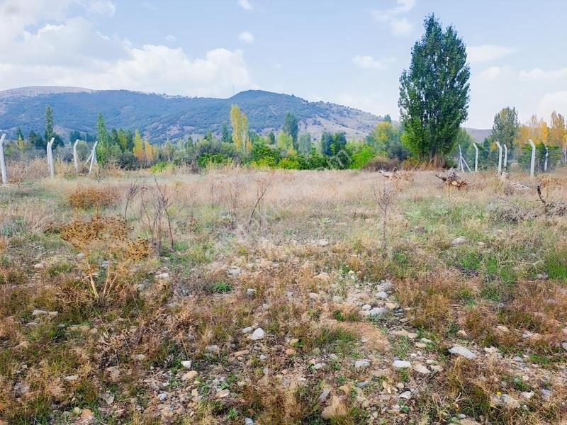 Konya Seydişehir Taraşcı Da Satılık Tarla Yolcep 832 M Detalı — fotoğraf 6