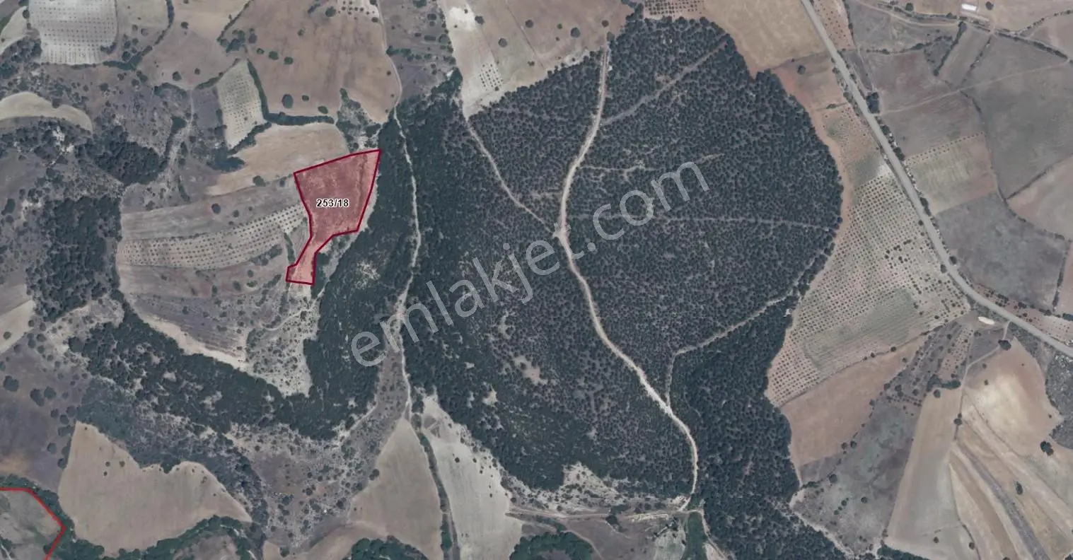 10.000 M2 Manısa Demırcı De Yatırımlık Badem Ve Zeytın Bahcesı
