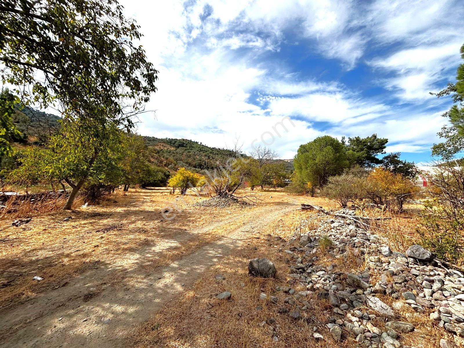 Tek Yetkili Aygül'den Burhaniye Karadere'de 4287 M2 İçerisi'nde Satılık Bahçe — fotoğraf 2