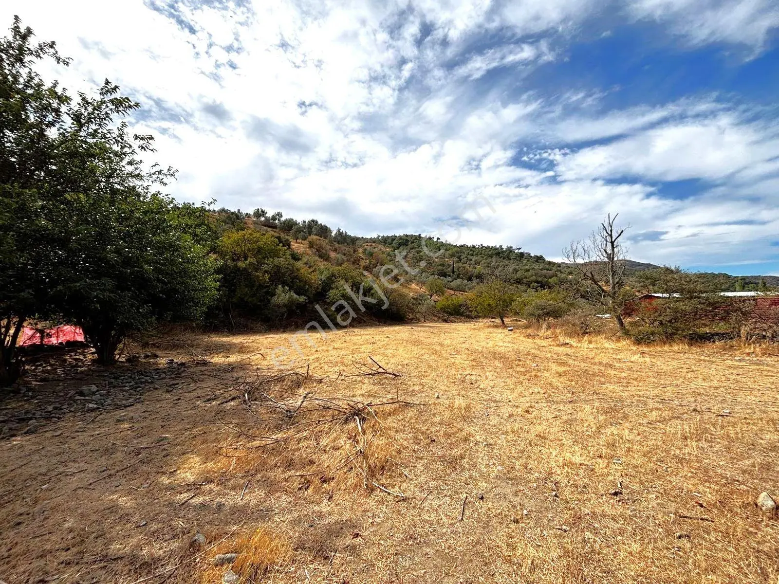 Tek Yetkili Aygül'den Burhaniye Karadere'de 4287 M2 İçerisi'nde Satılık Bahçe — fotoğraf 7