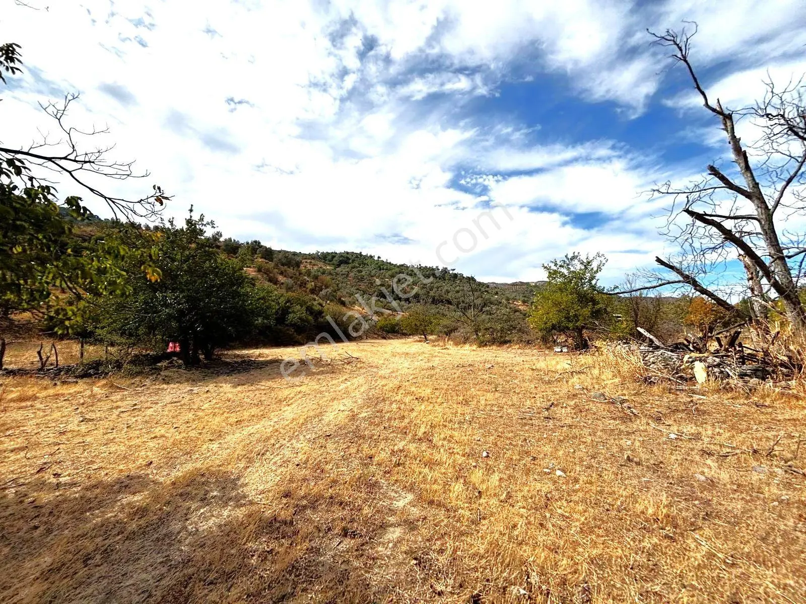 Tek Yetkili Aygül'den Burhaniye Karadere'de 4287 M2 İçerisi'nde Satılık Bahçe — fotoğraf 8