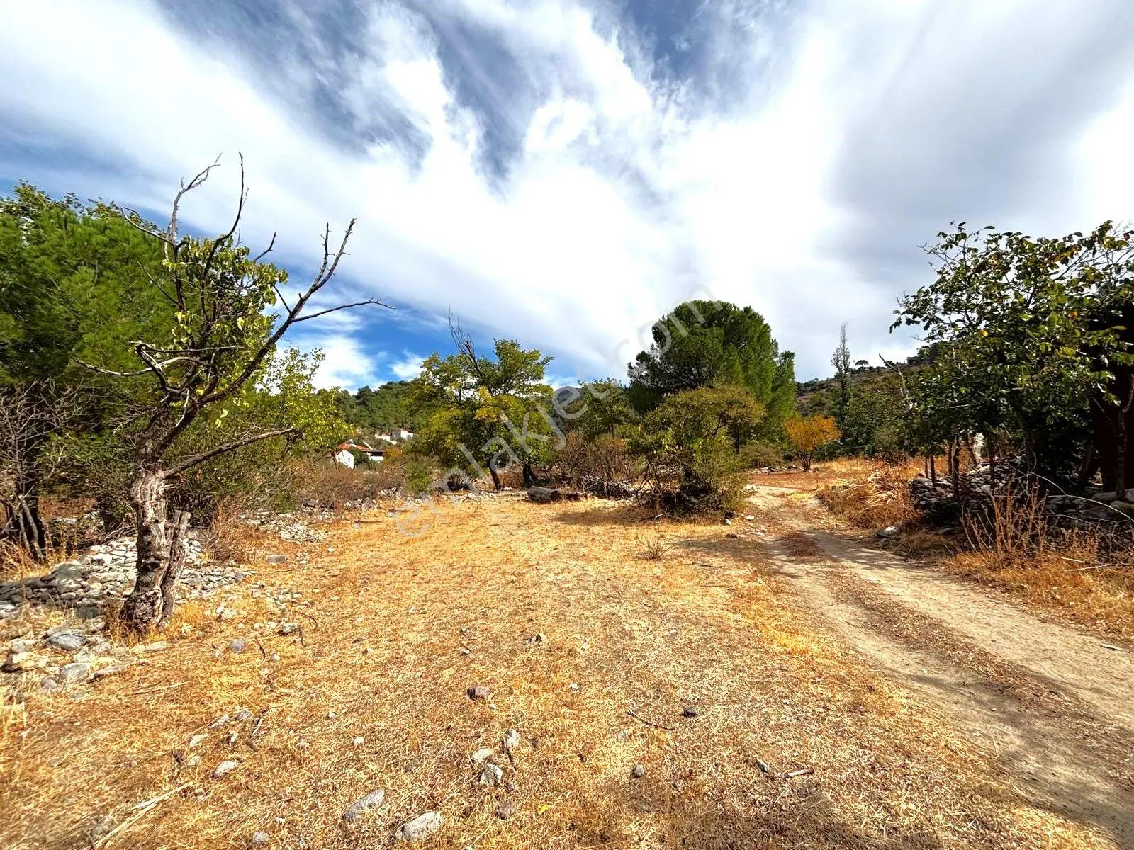 Tek Yetkili Aygül'den Burhaniye Karadere'de 4287 M2 İçerisi'nde Satılık Bahçe — fotoğraf 9