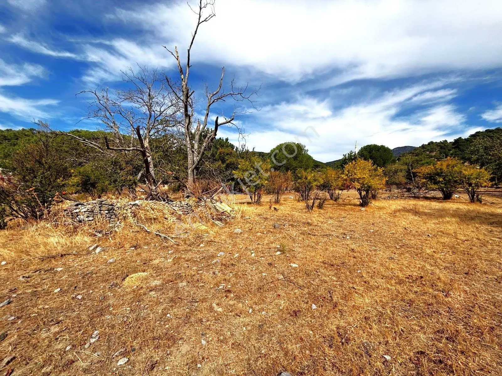 Tek Yetkili Aygül'den Burhaniye Karadere'de 4287 M2 İçerisi'nde Satılık Bahçe — fotoğraf 10