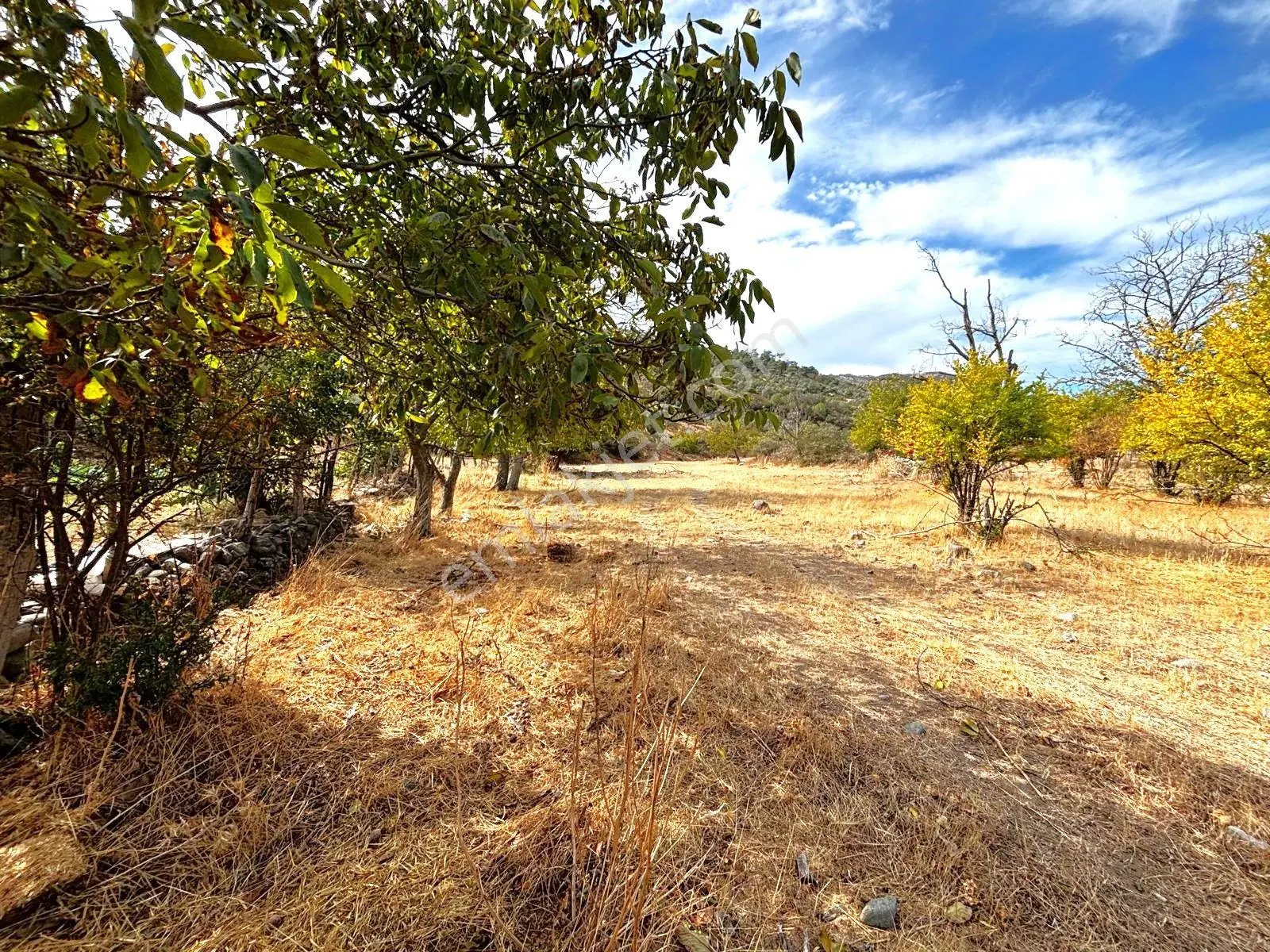Tek Yetkili Aygül'den Burhaniye Karadere'de 4287 M2 İçerisi'nde Satılık Bahçe — fotoğraf 12