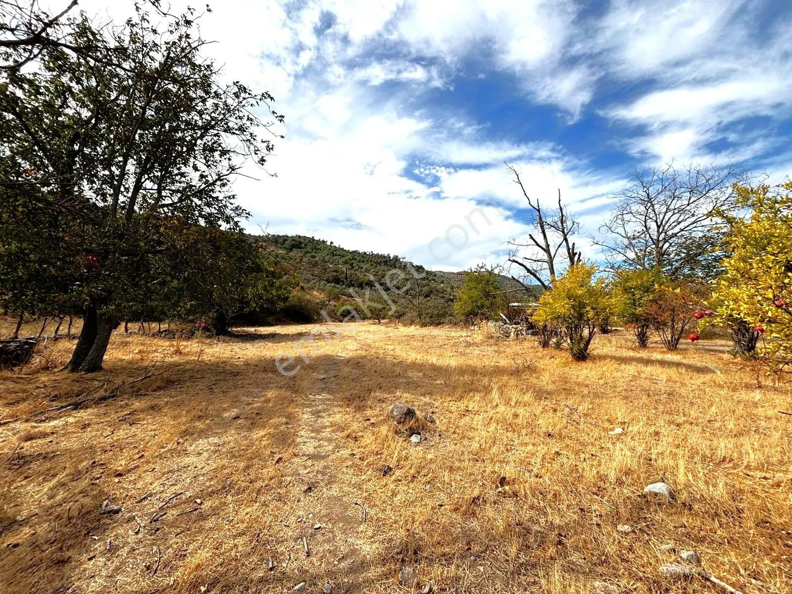 Tek Yetkili Aygül'den Burhaniye Karadere'de 4287 M2 İçerisi'nde Satılık Bahçe — fotoğraf 13