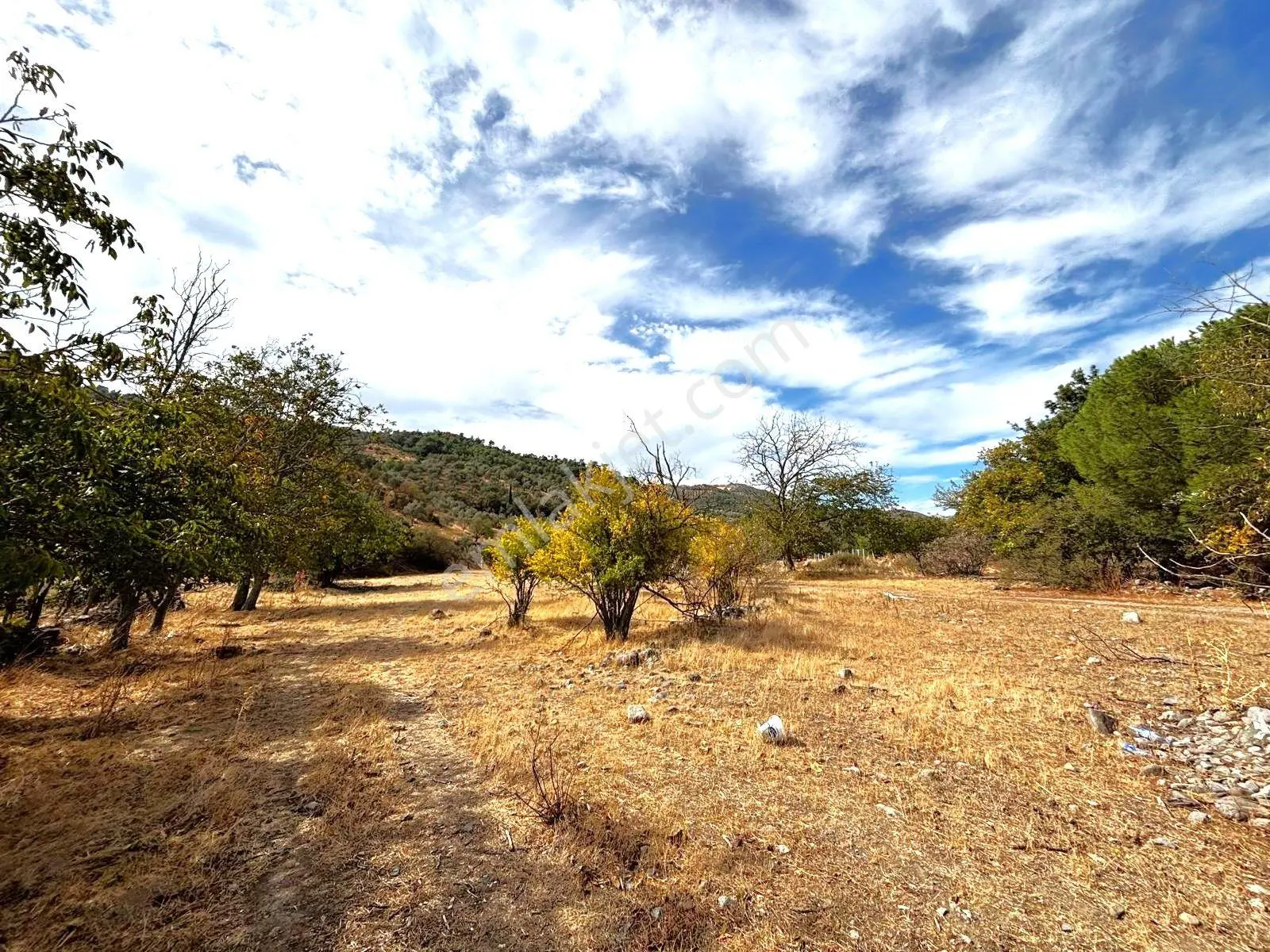 Tek Yetkili Aygül'den Burhaniye Karadere'de 4287 M2 İçerisi'nde Satılık Bahçe — fotoğraf 14