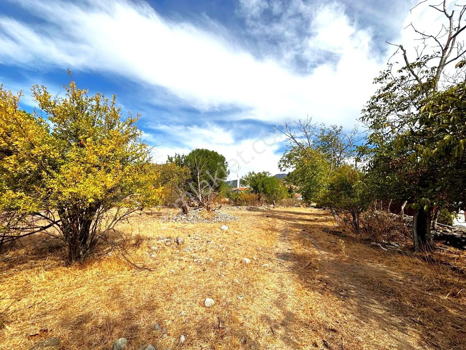 Tek Yetkili Aygül'den Burhaniye Karadere'de 4287 M2 İçerisi'nde Satılık Bahçe — fotoğraf 18