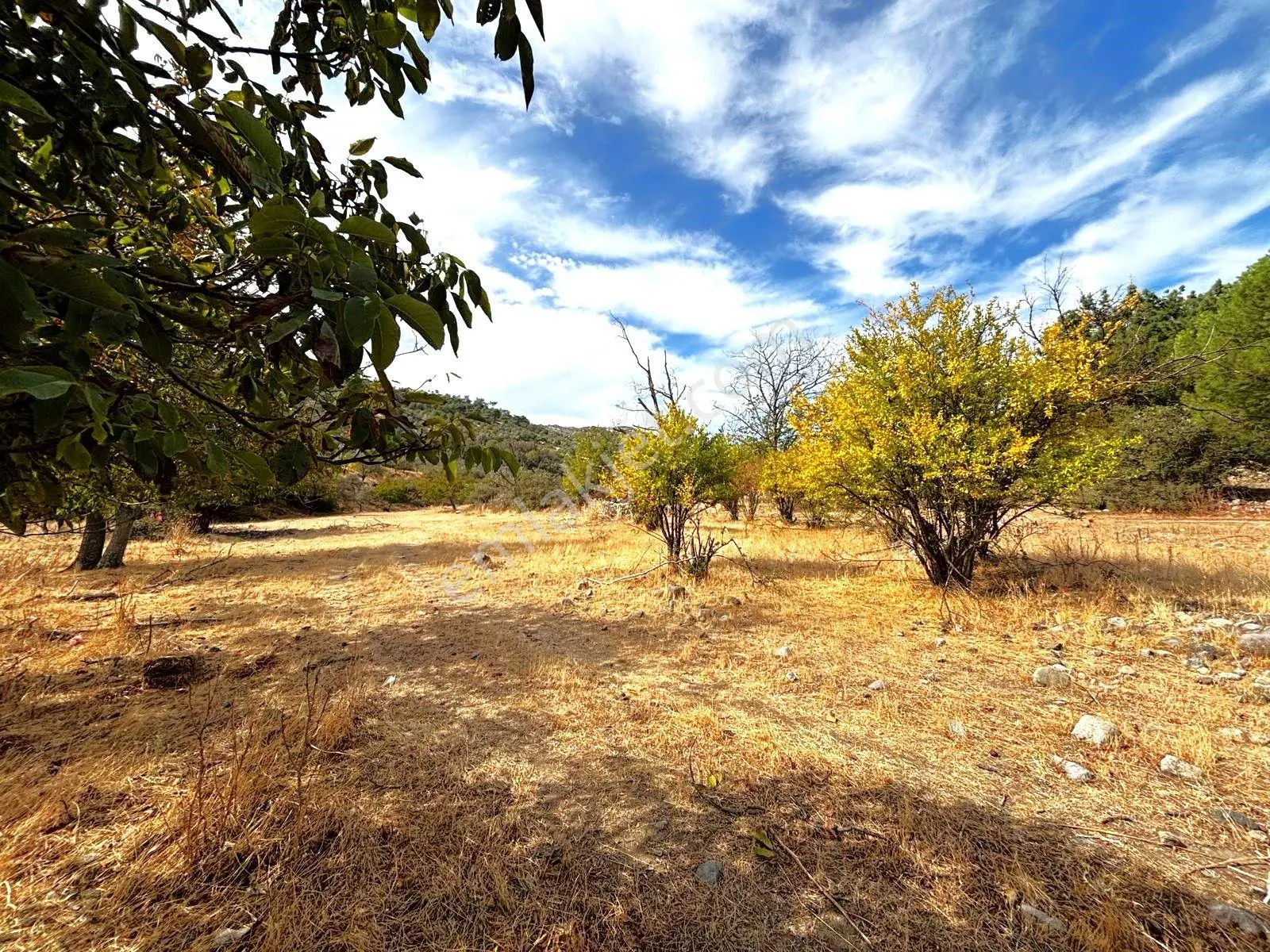 Tek Yetkili Aygül'den Burhaniye Karadere'de 4287 M2 İçerisi'nde Satılık Bahçe — fotoğraf 19