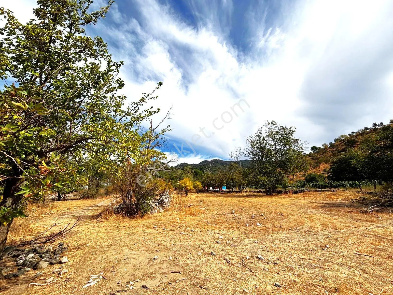 Tek Yetkili Aygül'den Burhaniye Karadere'de 4287 M2 İçerisi'nde Satılık Bahçe — fotoğraf 20