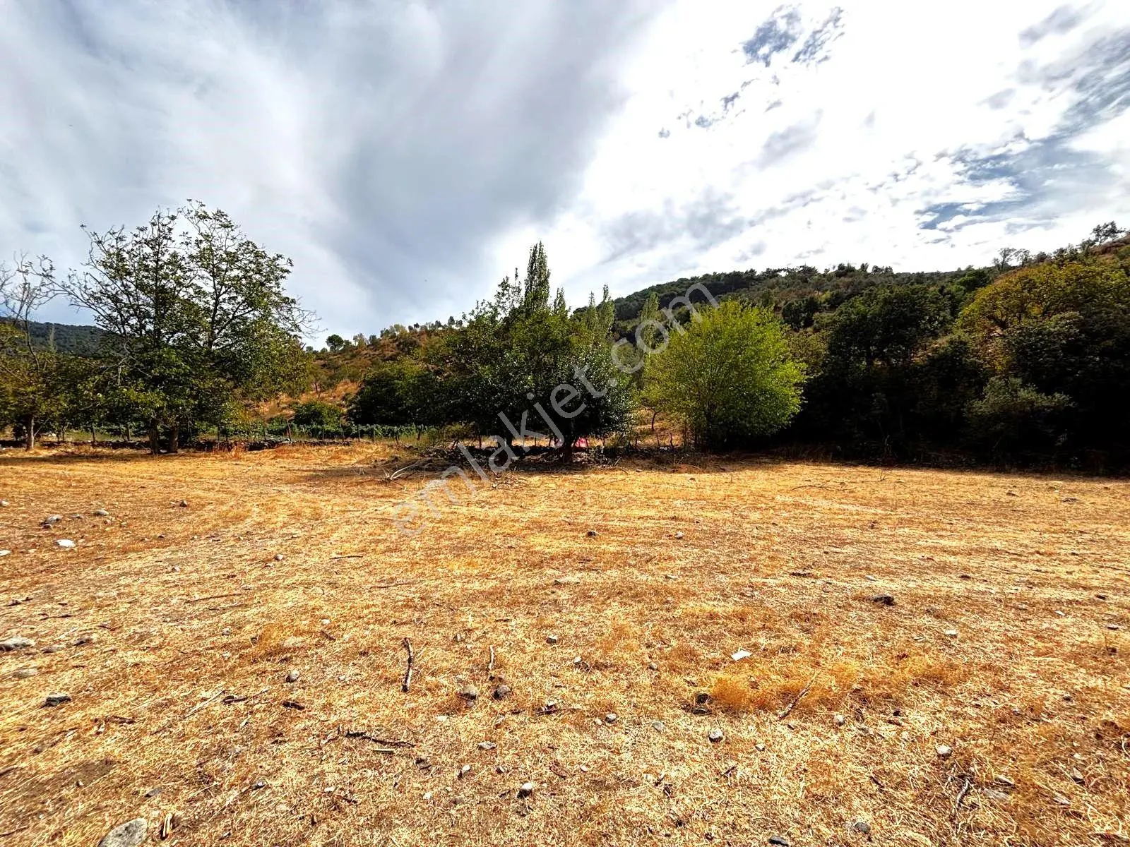 Tek Yetkili Aygül'den Burhaniye Karadere'de 4287 M2 İçerisi'nde Satılık Bahçe — fotoğraf 22