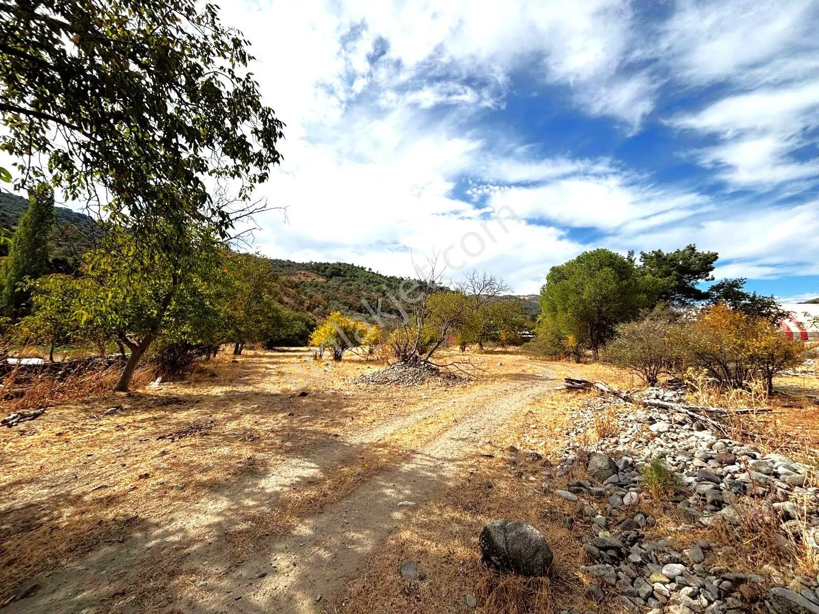 Tek Yetkili Aygül'den Burhaniye Karadere'de 4287 M2 İçerisi'nde Satılık Bahçe — fotoğraf 23