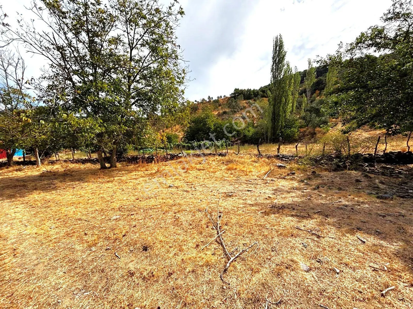 Tek Yetkili Aygül'den Burhaniye Karadere'de 4287 M2 İçerisi'nde Satılık Bahçe — fotoğraf 24