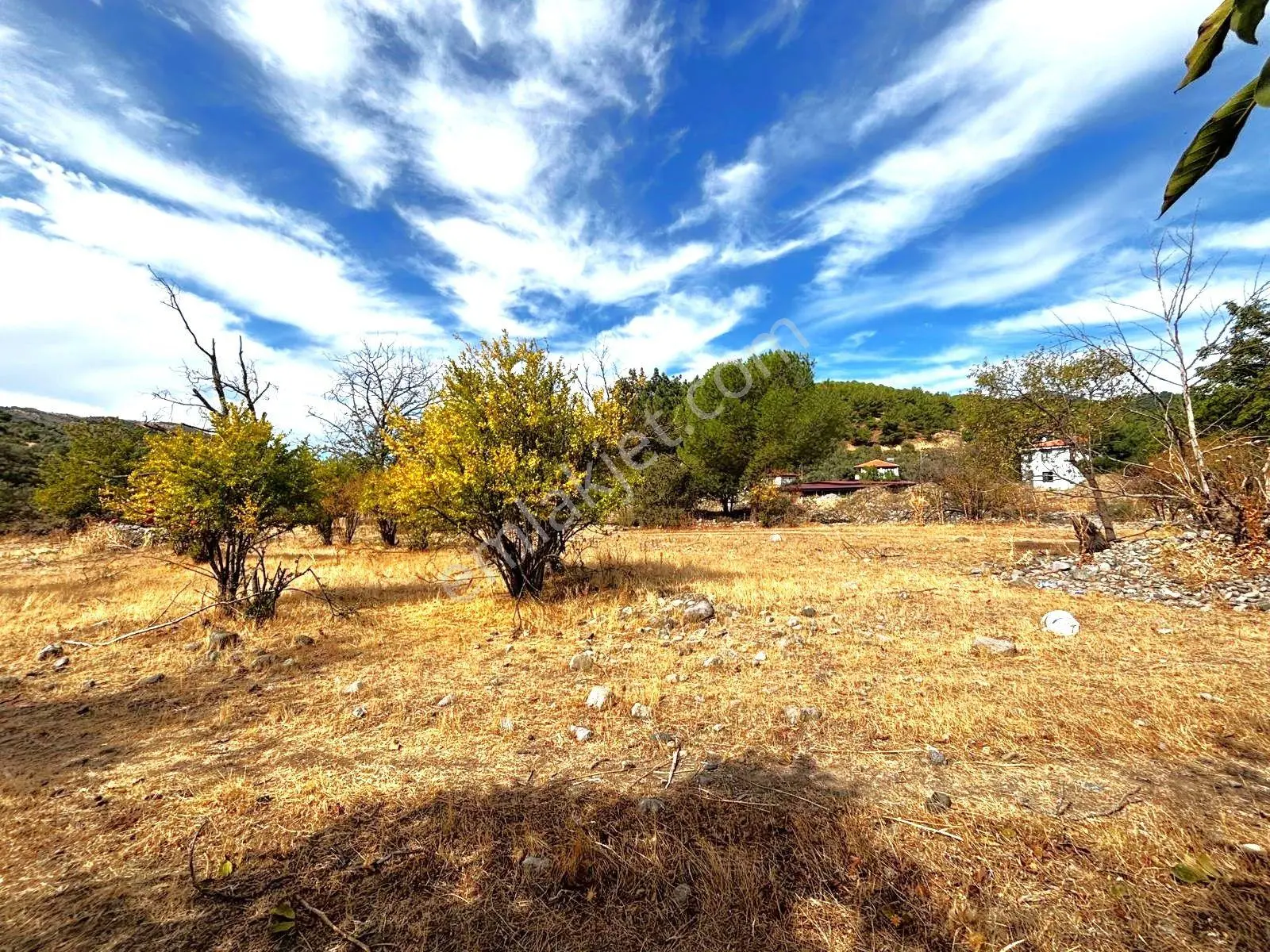 Tek Yetkili Aygül'den Burhaniye Karadere'de 4287 M2 İçerisi'nde Satılık Bahçe — fotoğraf 25