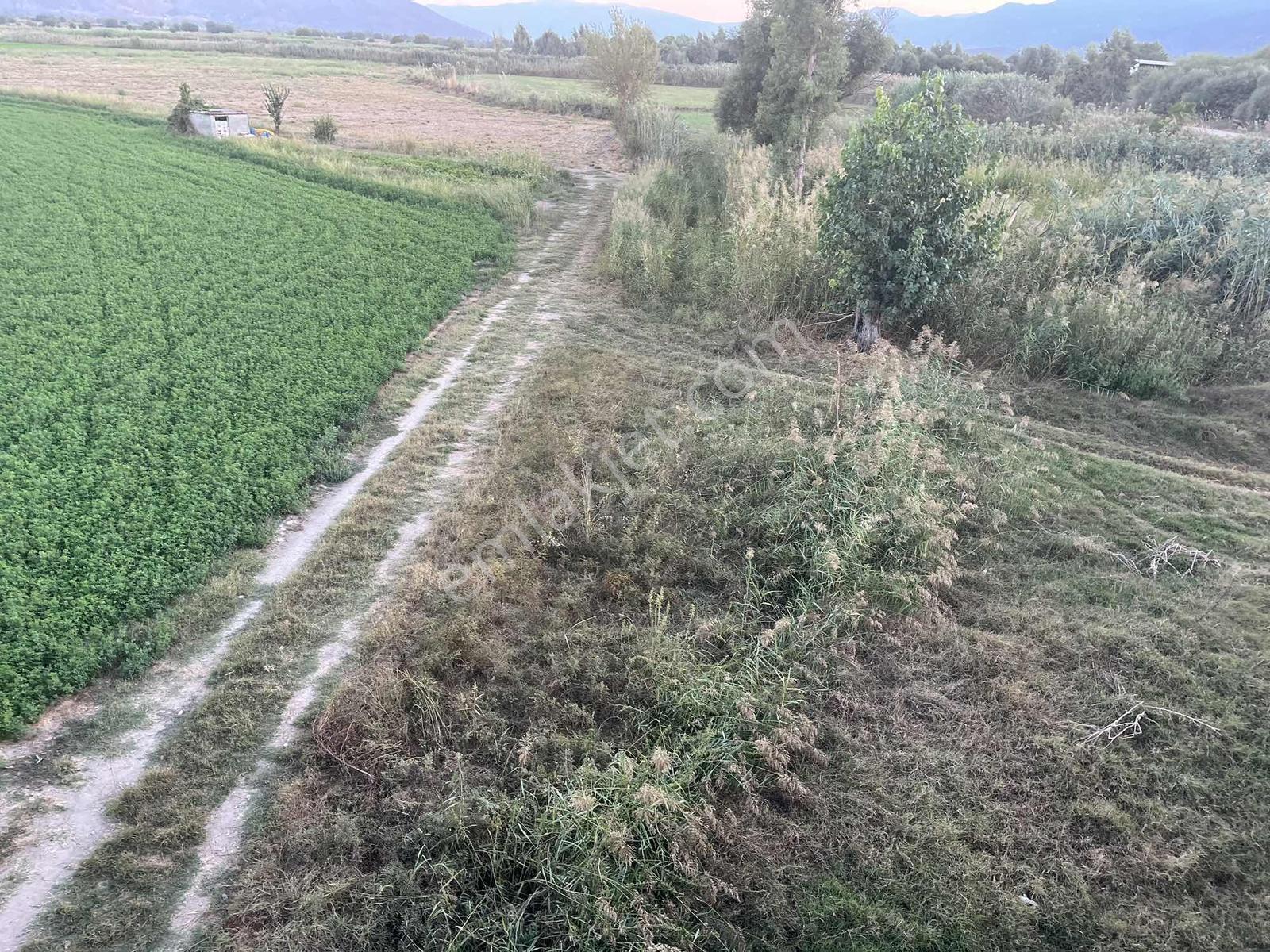 Miray Emlaktan Nazilli Esenköyde (arpazda) Satılık Tarla — fotoğraf 8