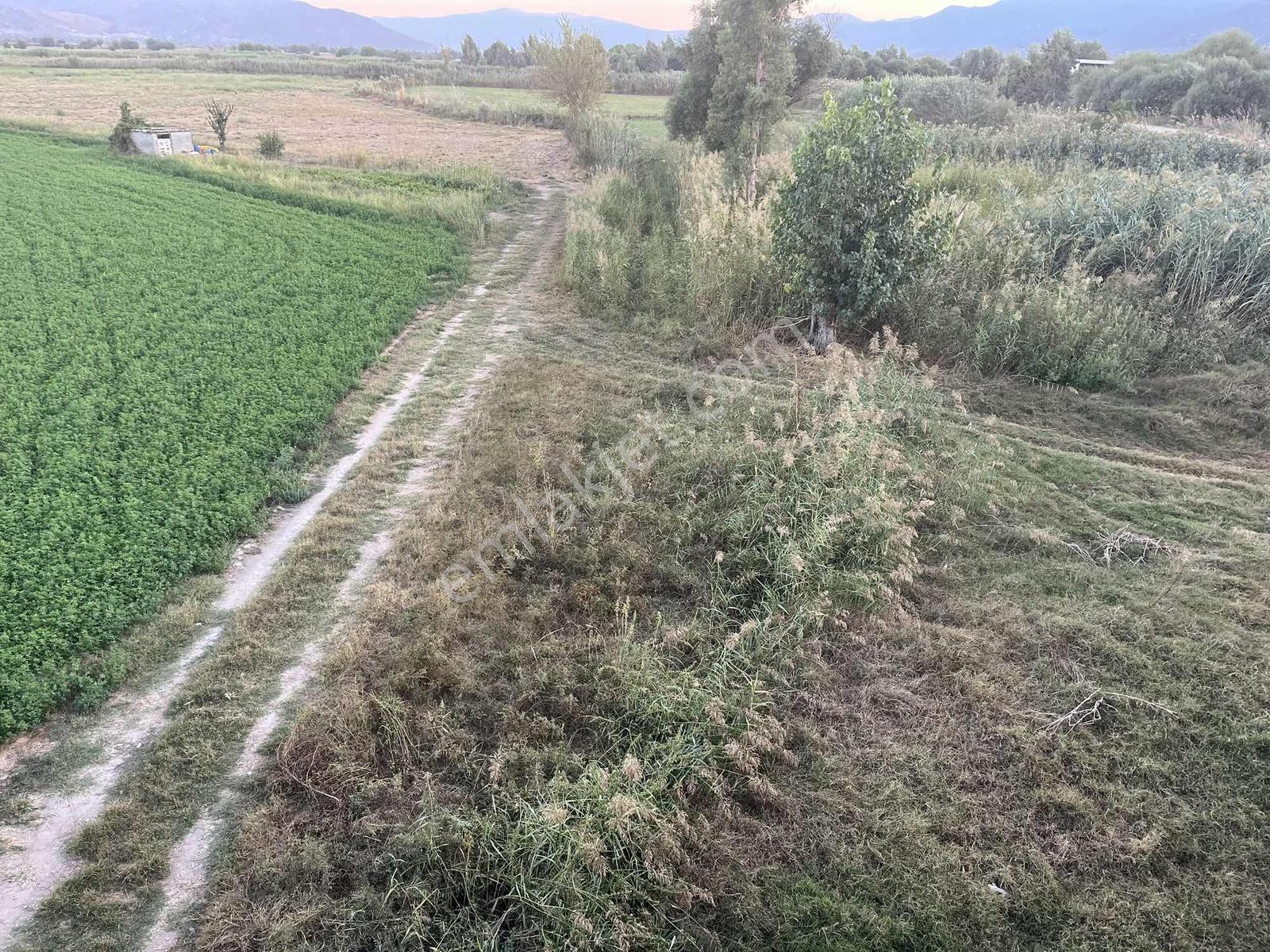 Miray Emlaktan Nazilli Esenköyde (arpazda) Satılık Tarla — fotoğraf 9