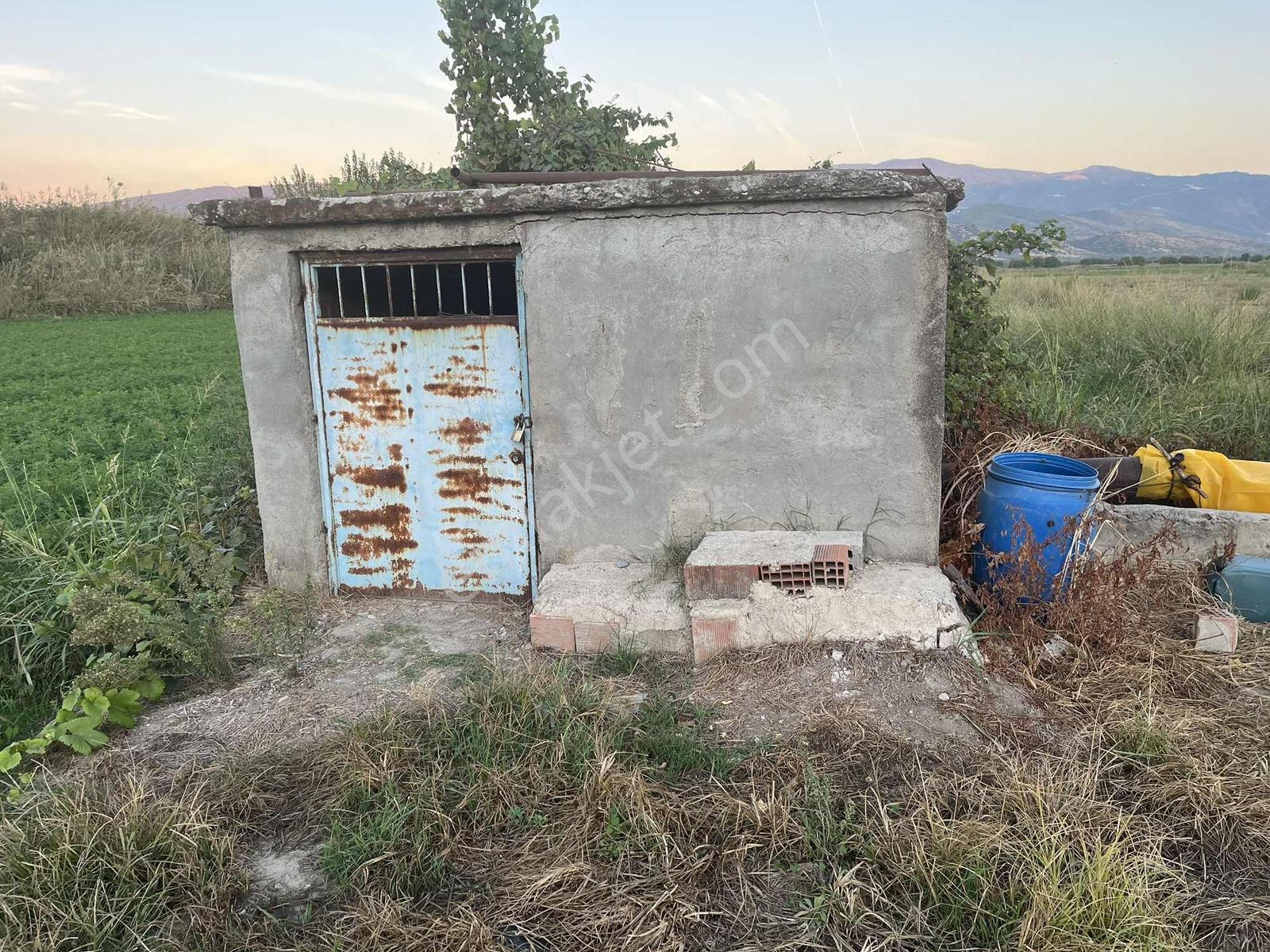 Miray Emlaktan Nazilli Esenköyde (arpazda) Satılık Tarla — fotoğraf 18