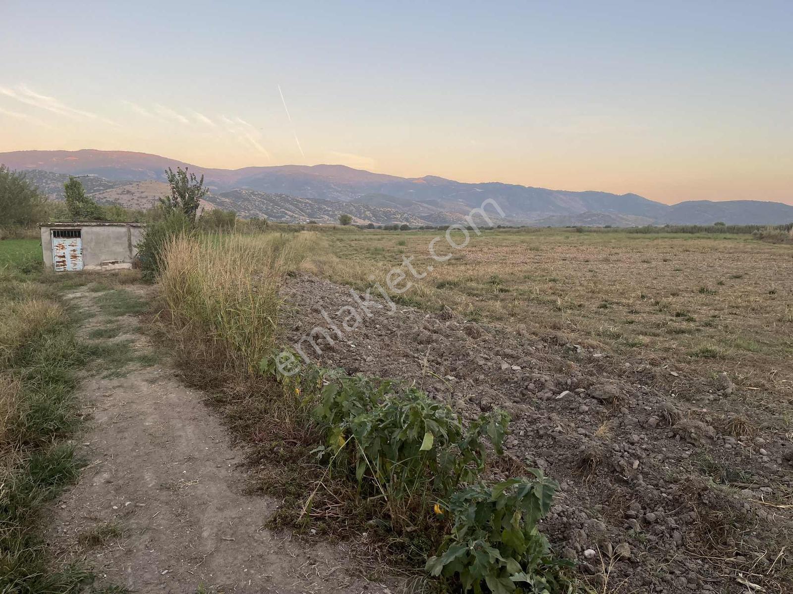 Miray Emlaktan Nazilli Esenköyde (arpazda) Satılık Tarla — fotoğraf 20