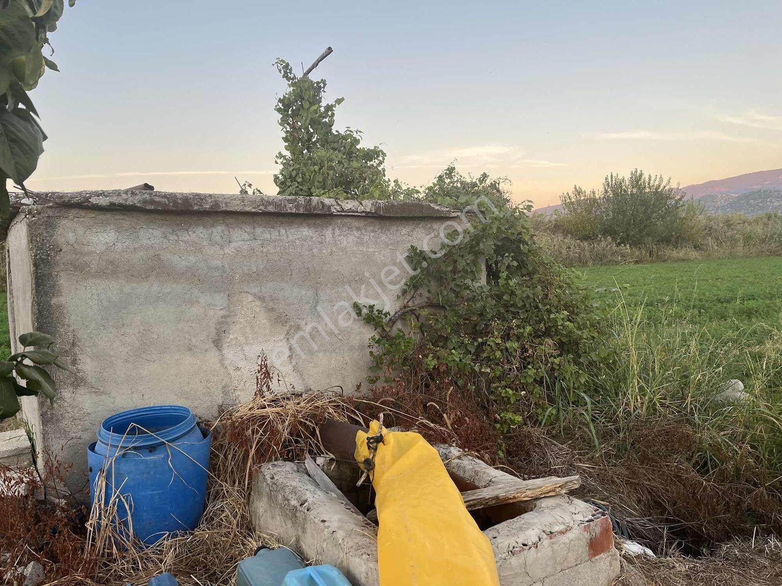 Miray Emlaktan Nazilli Esenköyde (arpazda) Satılık Tarla — fotoğraf 22