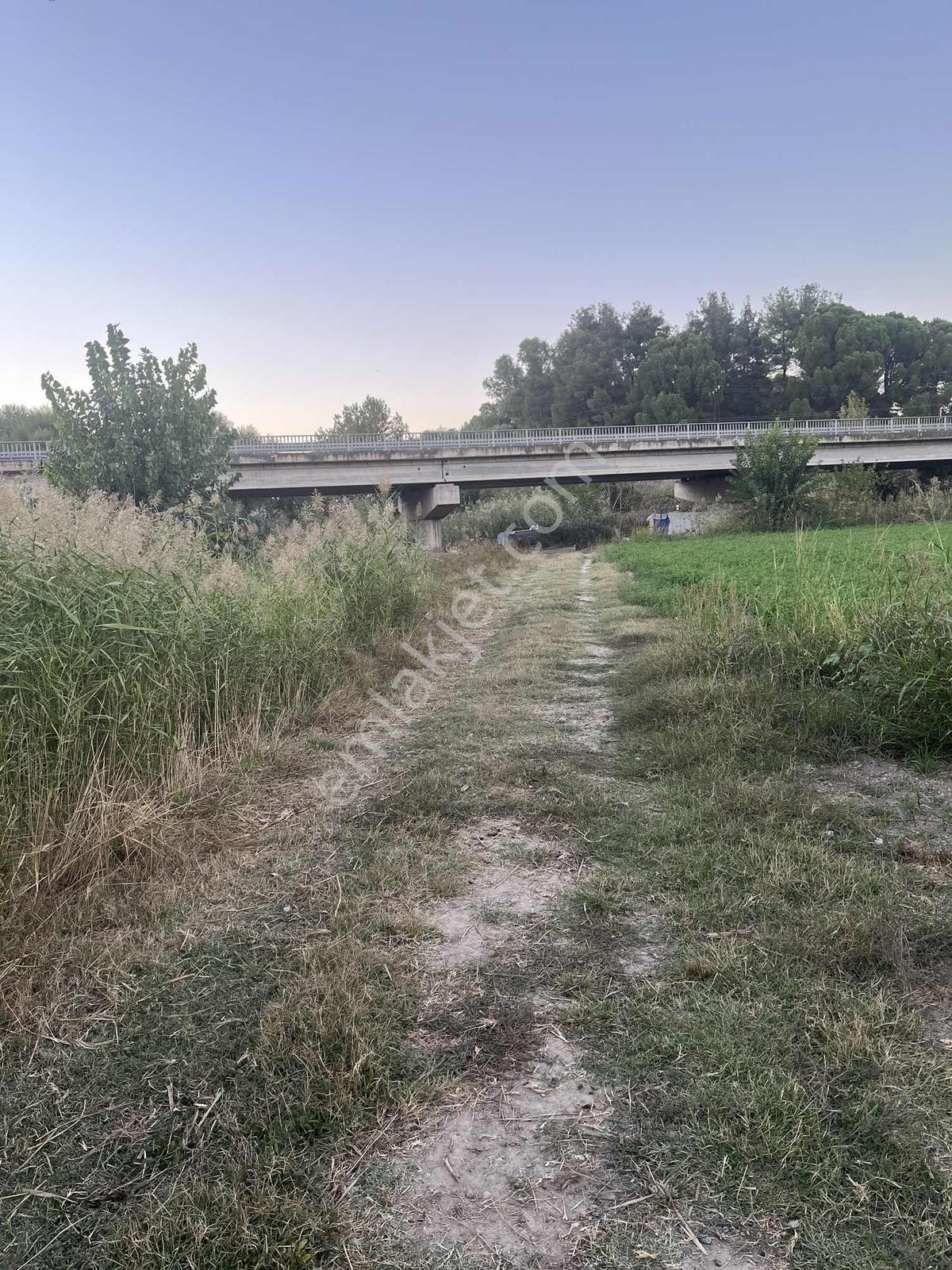 Miray Emlaktan Nazilli Esenköyde (arpazda) Satılık Tarla — fotoğraf 29