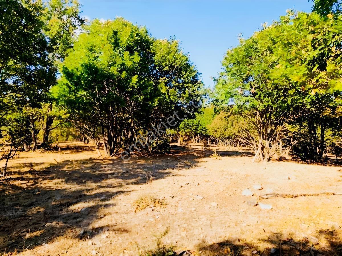 Çanakkale Merkez Doğayla İç İçe 41.207 M² Yatırımlık Tarla