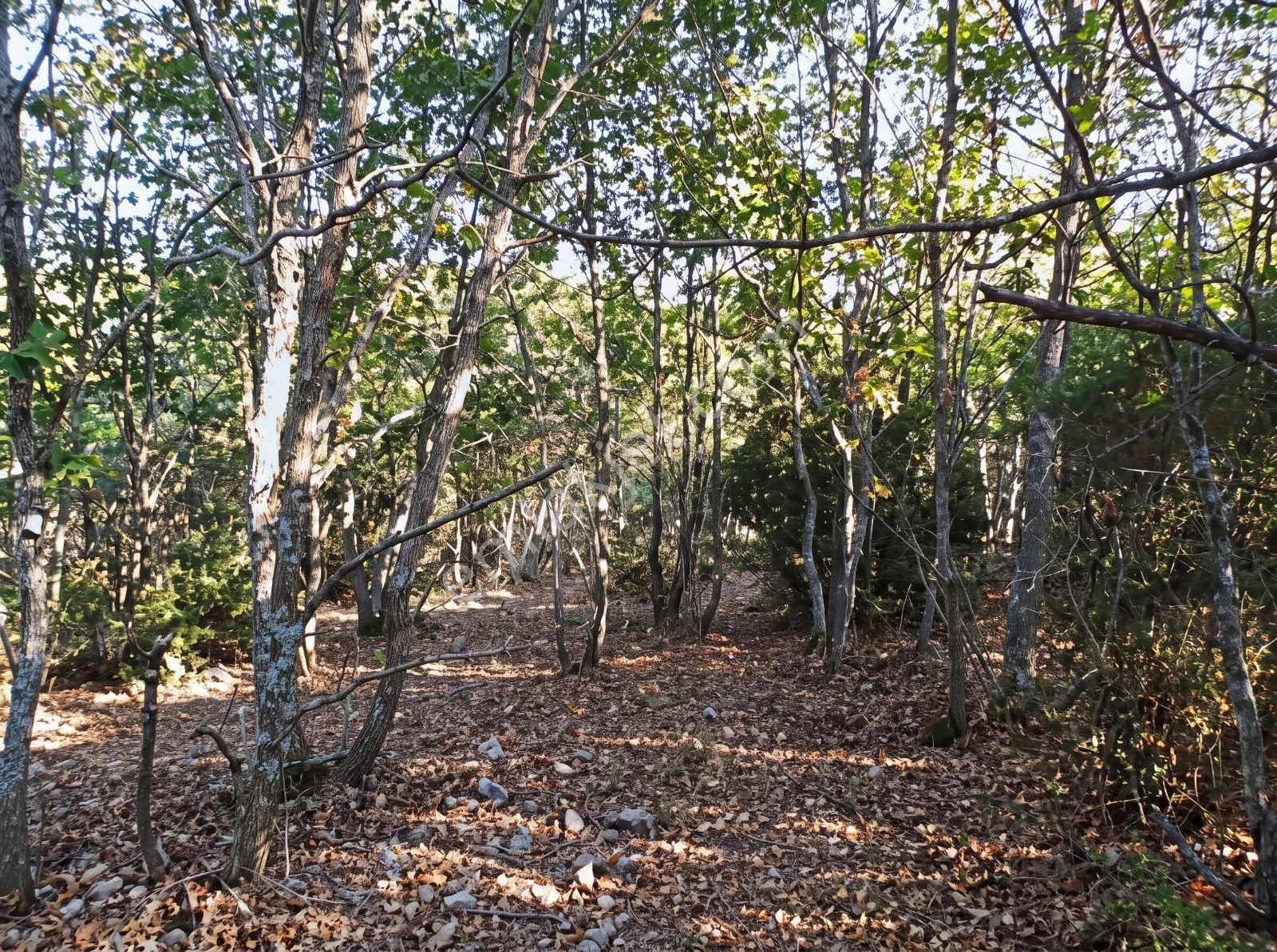 Çanakkale Merkez Doğayla İç İçe 41.207 M² Yatırımlık Tarla — fotoğraf 3
