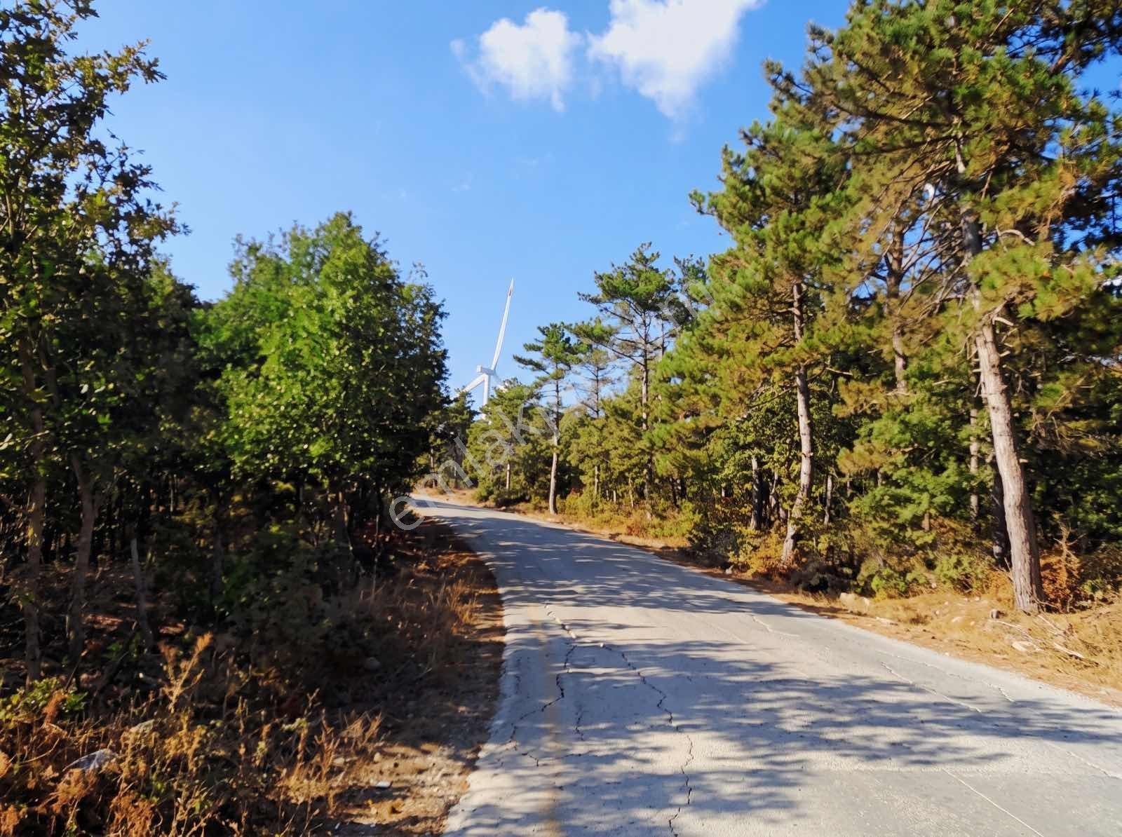 Çanakkale Merkez Doğayla İç İçe 41.207 M² Yatırımlık Tarla — fotoğraf 4
