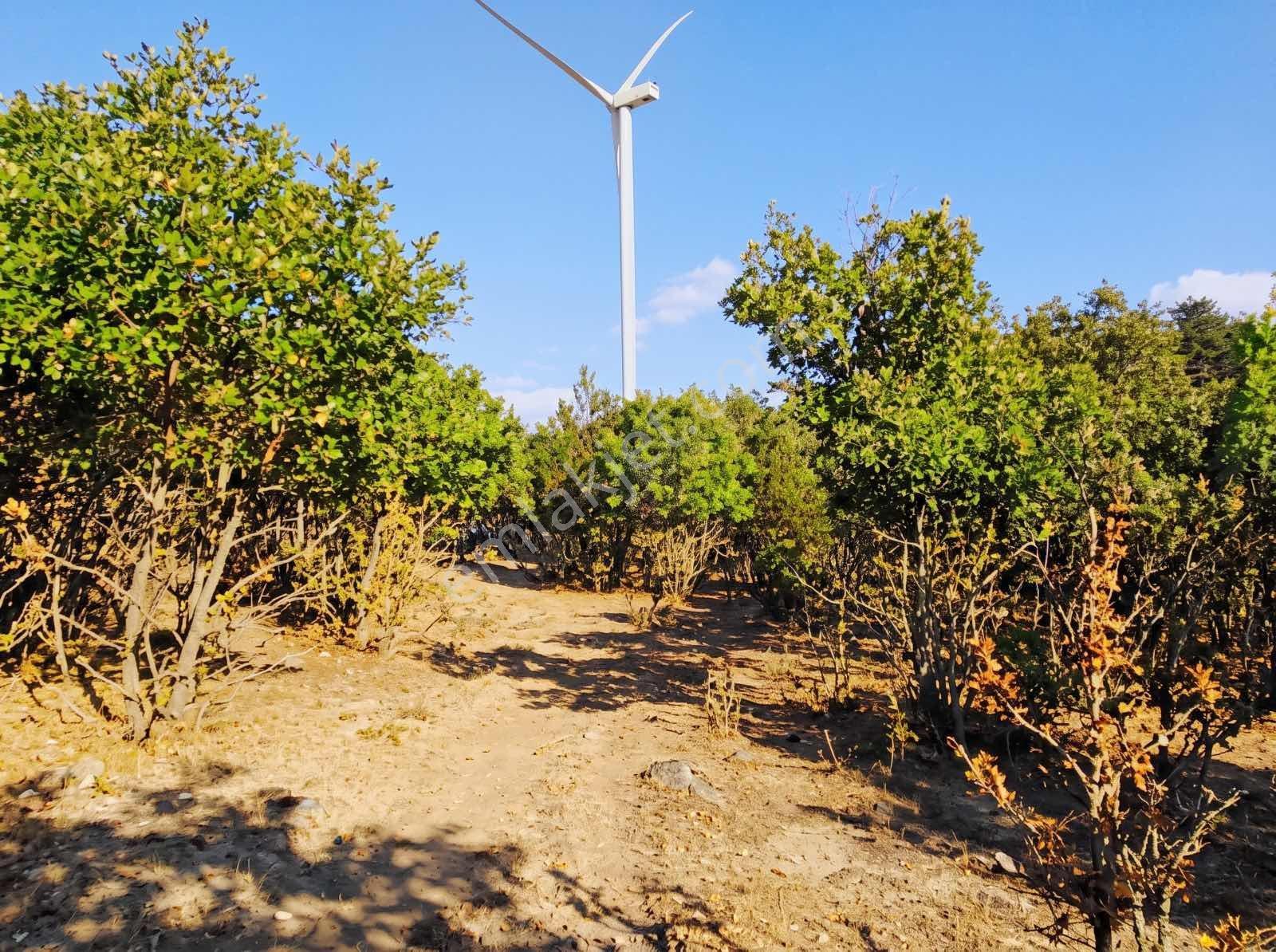 Çanakkale Merkez Doğayla İç İçe 41.207 M² Yatırımlık Tarla — fotoğraf 5