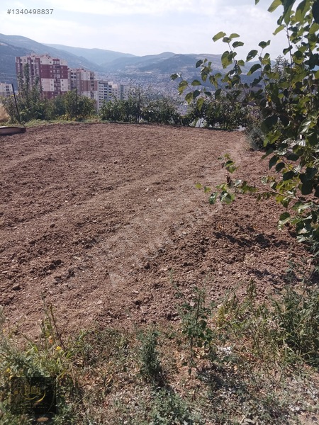 Tokat Manzaralı, 3.390m² Arazi İçinde 3.5+1 Müstakil Ev — fotoğraf 9