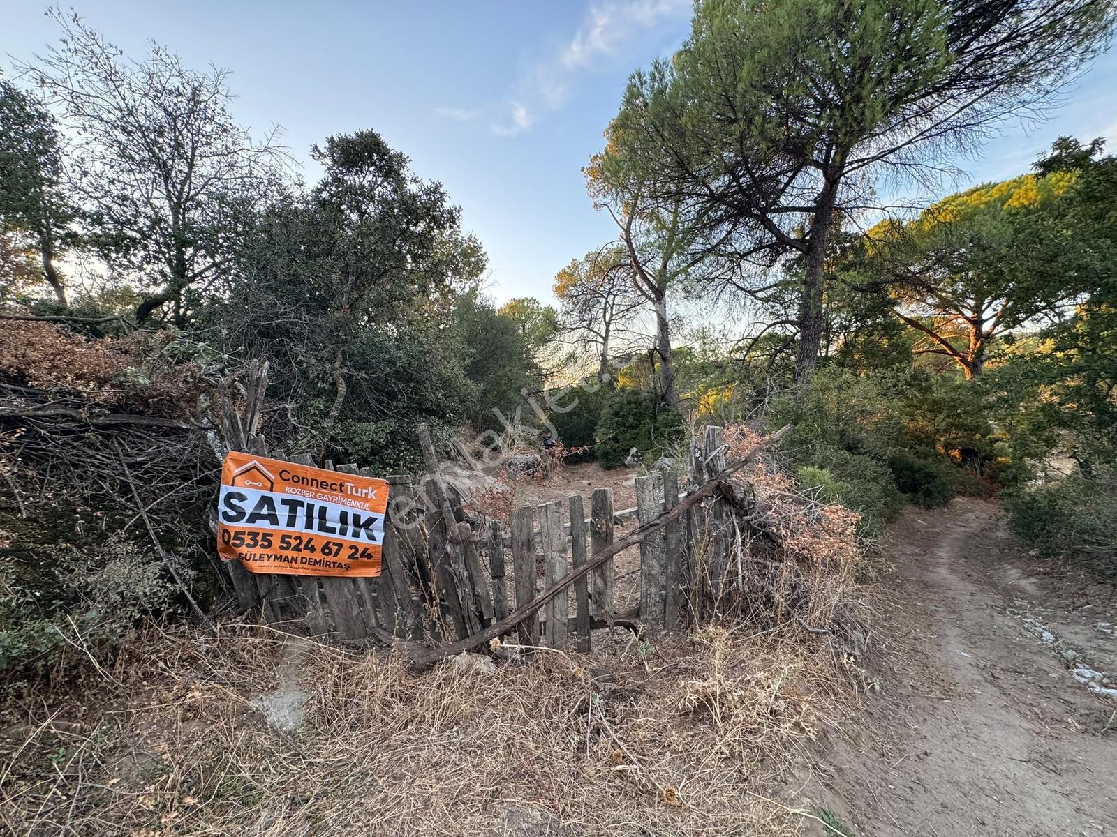 Bergama Hisarköy Mahallesin'de 28.525m2 Satılık Tarla — fotoğraf 2