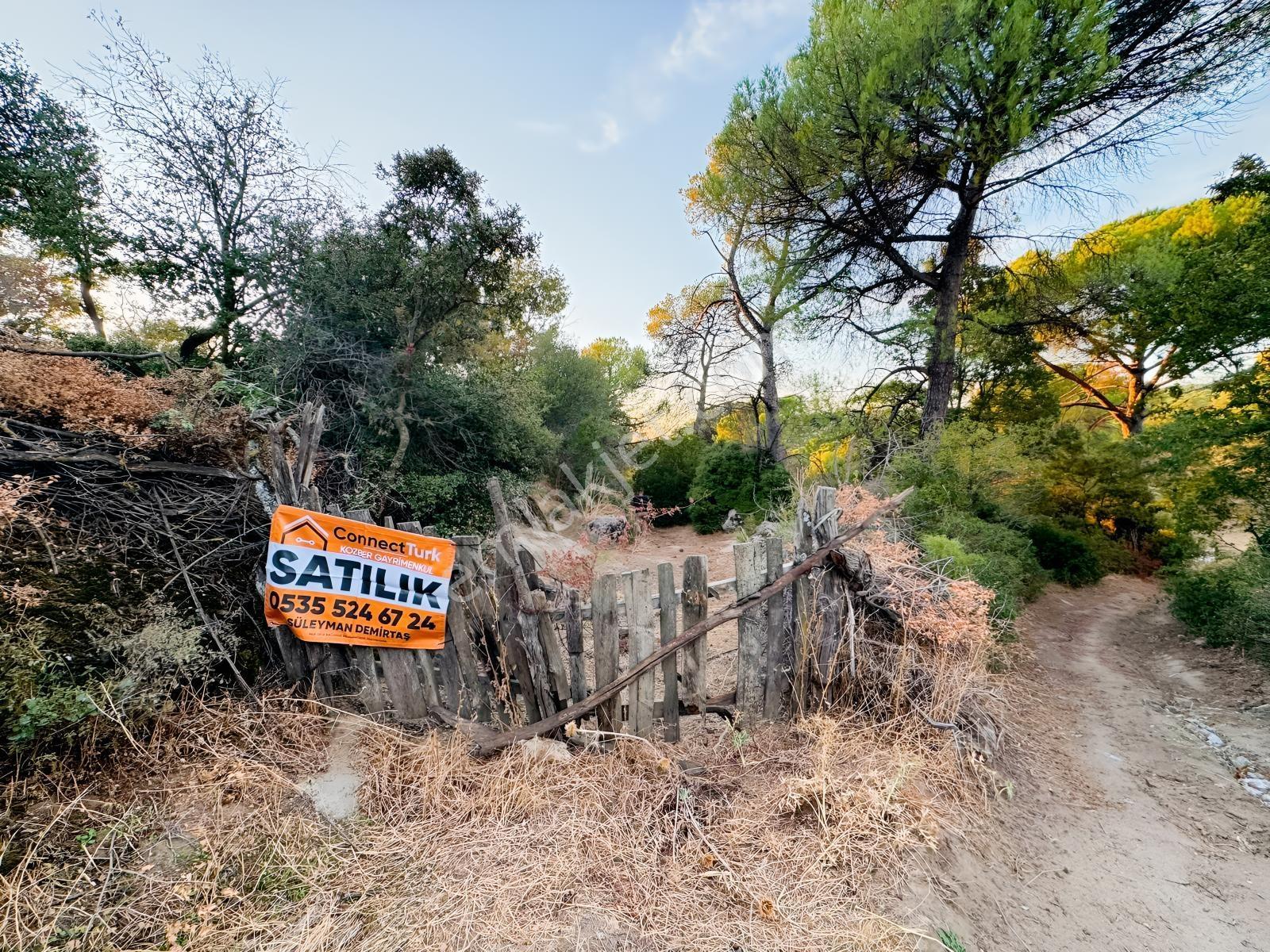 Bergama Hisarköy Mahallesin'de 28.525m2 Satılık Tarla — fotoğraf 3