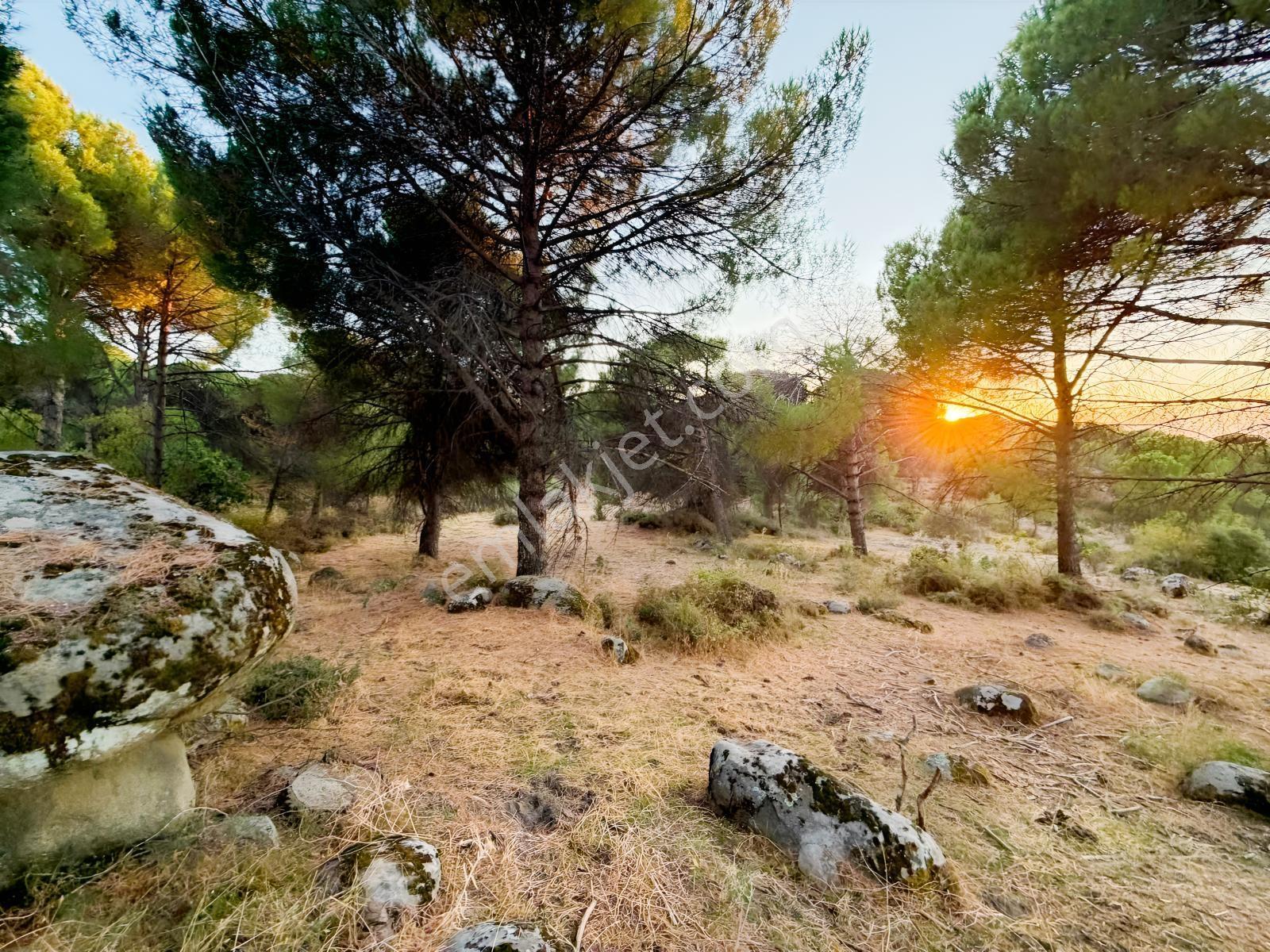 Bergama Hisarköy Mahallesin'de 28.525m2 Satılık Tarla — fotoğraf 4