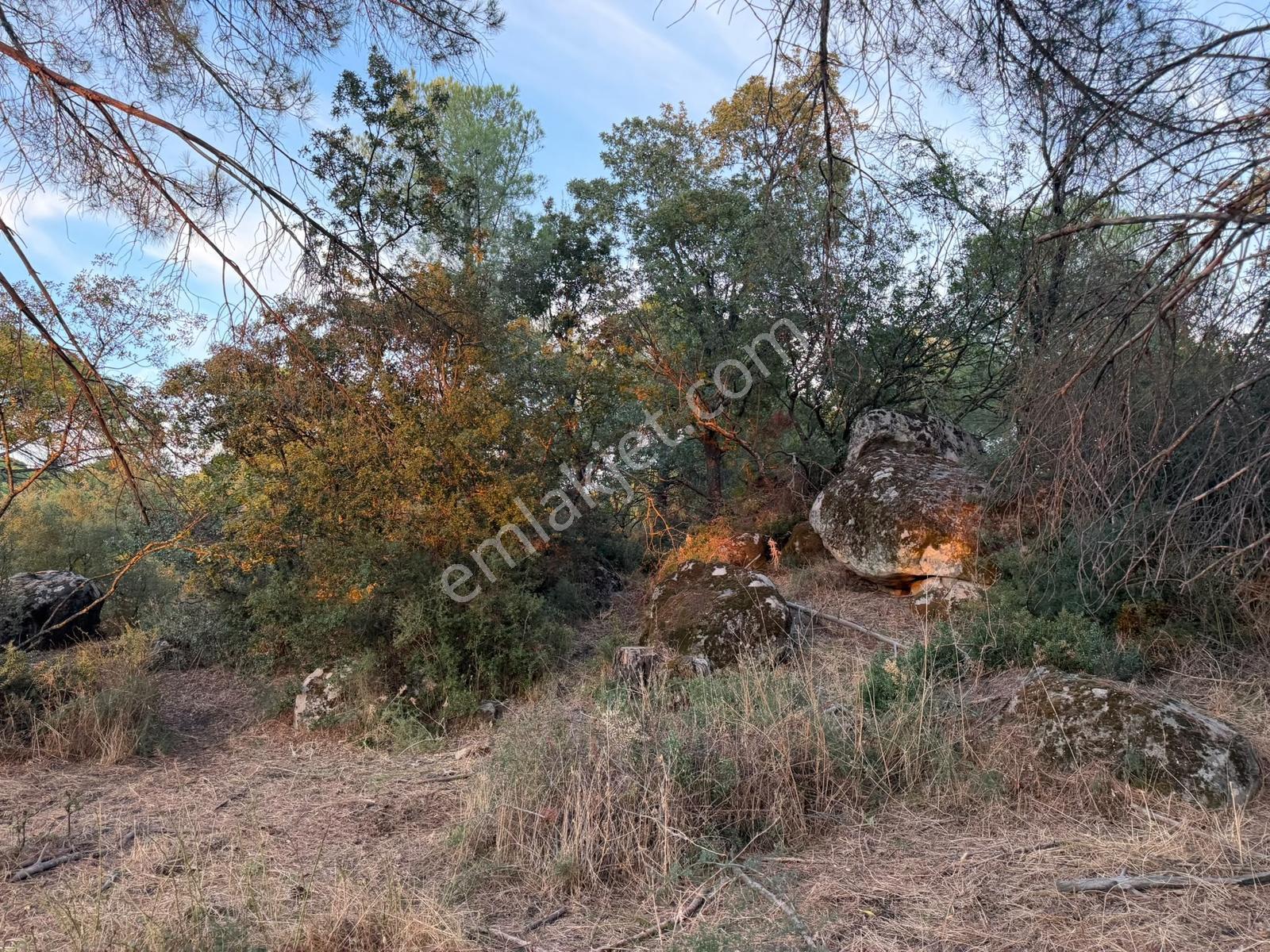 Bergama Hisarköy Mahallesin'de 28.525m2 Satılık Tarla — fotoğraf 5