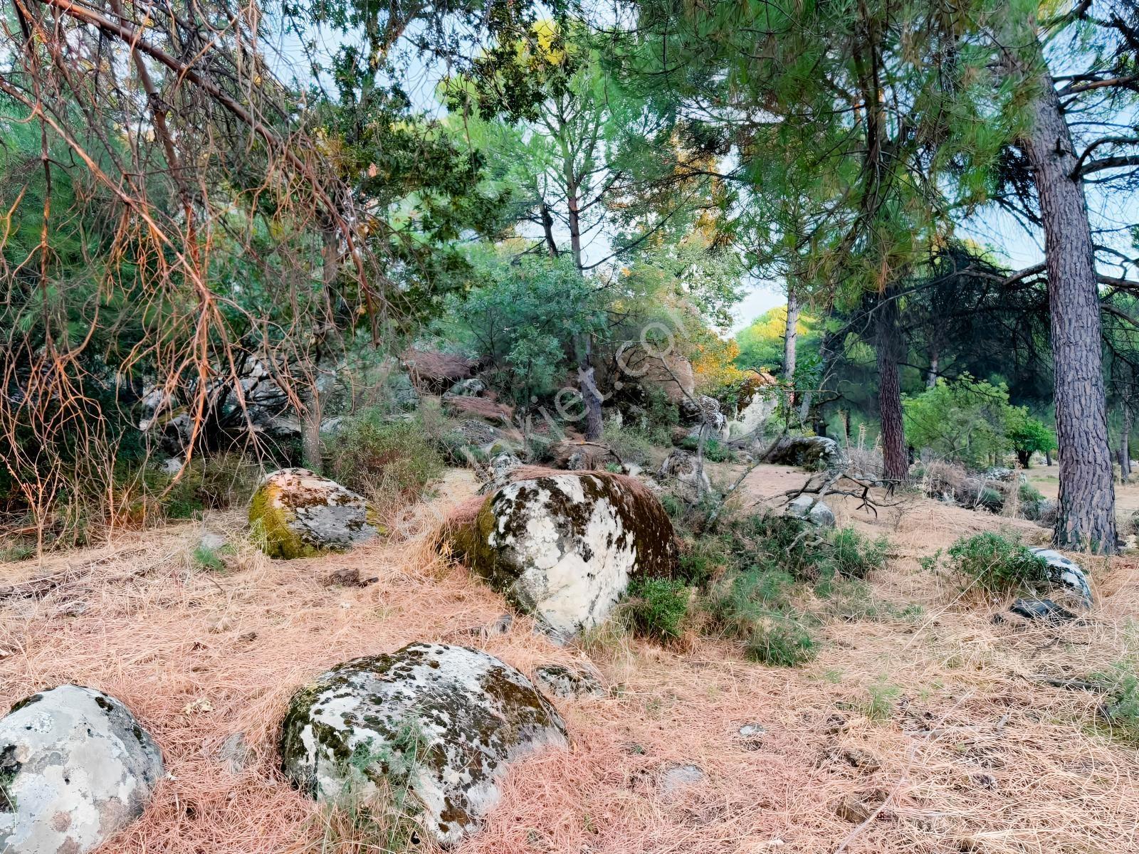Bergama Hisarköy Mahallesin'de 28.525m2 Satılık Tarla — fotoğraf 6