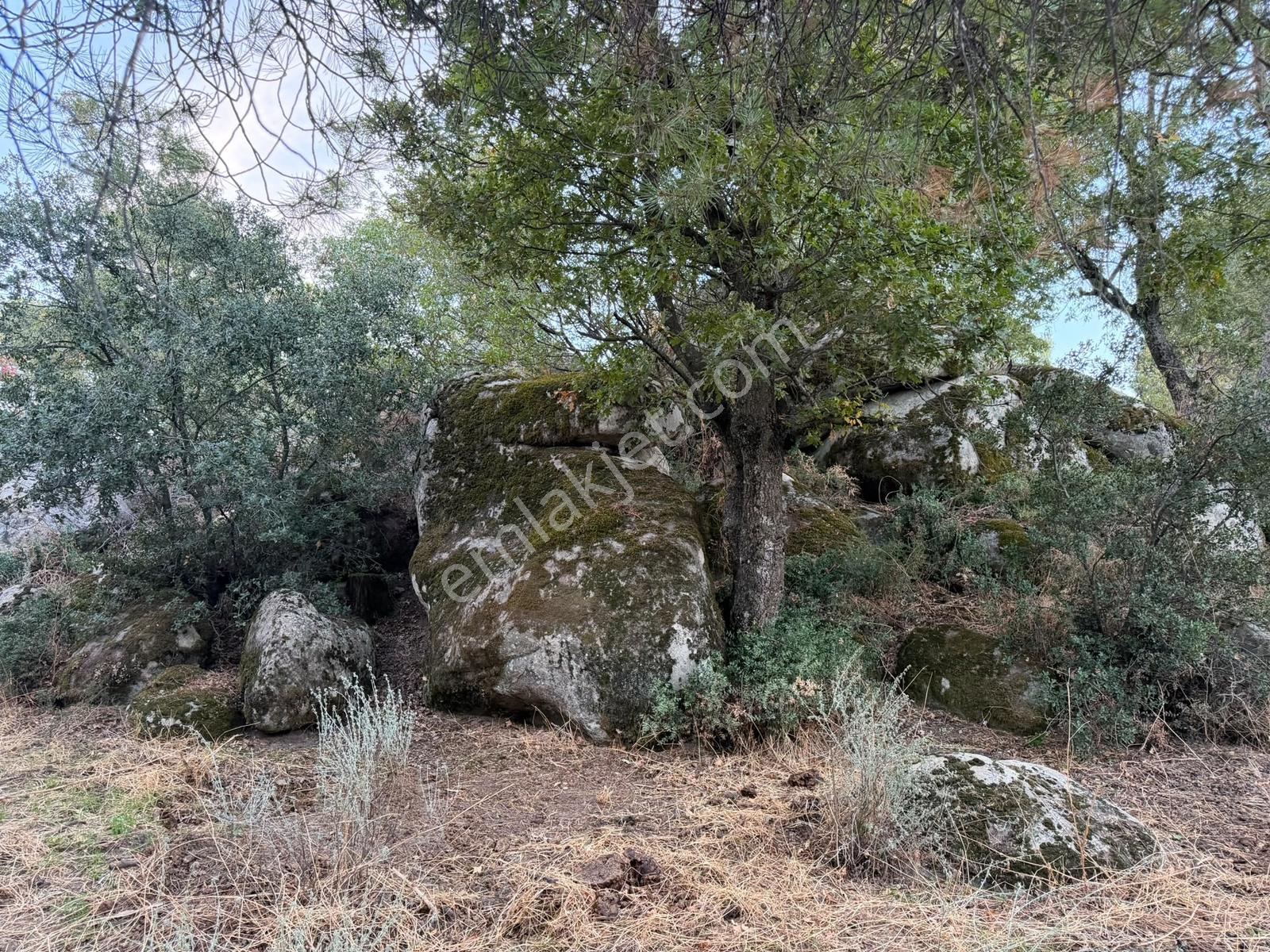 Bergama Hisarköy Mahallesin'de 28.525m2 Satılık Tarla — fotoğraf 7