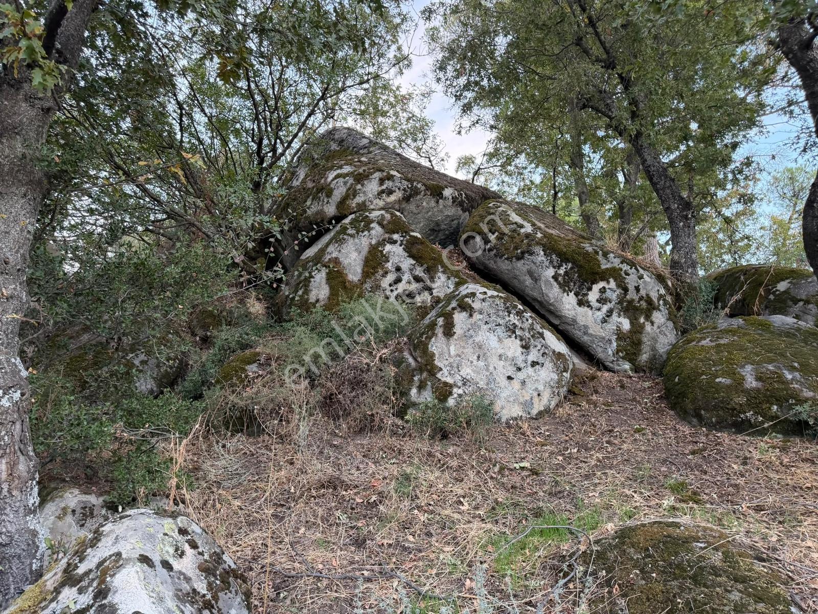 Bergama Hisarköy Mahallesin'de 28.525m2 Satılık Tarla — fotoğraf 8
