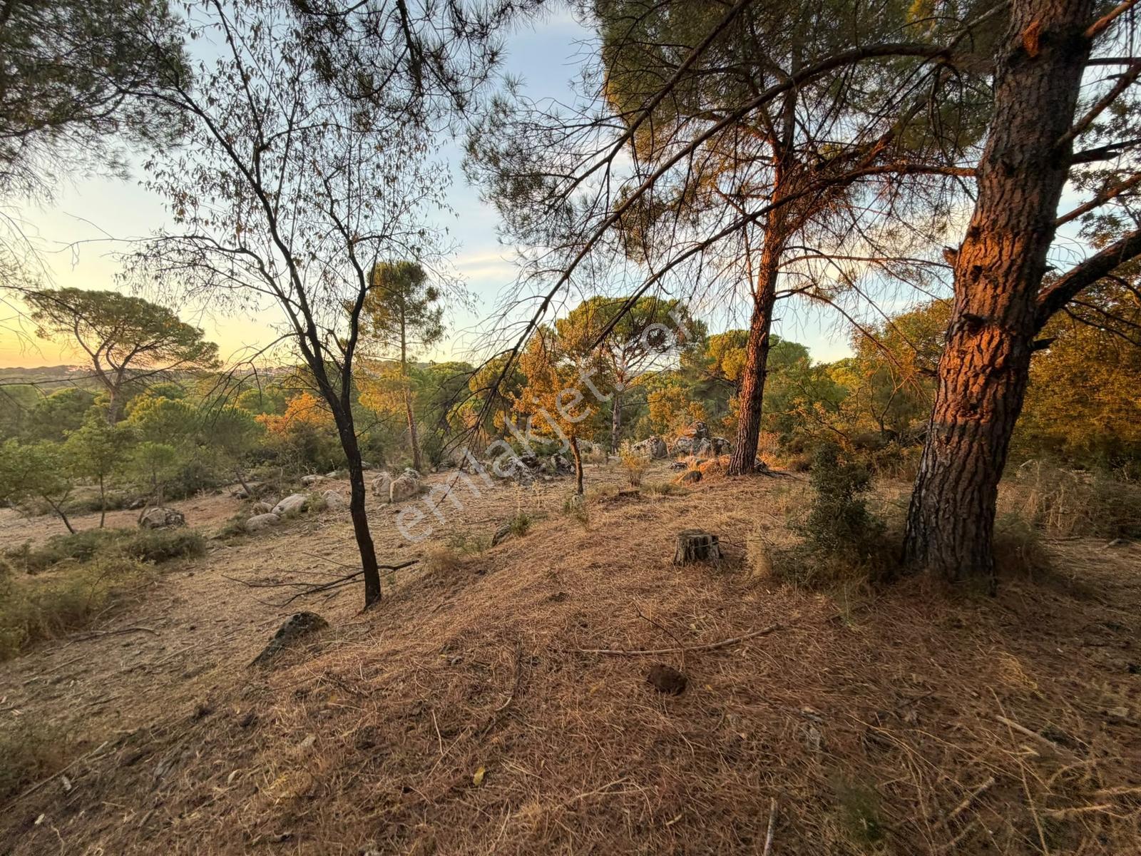 Bergama Hisarköy Mahallesin'de 28.525m2 Satılık Tarla — fotoğraf 9