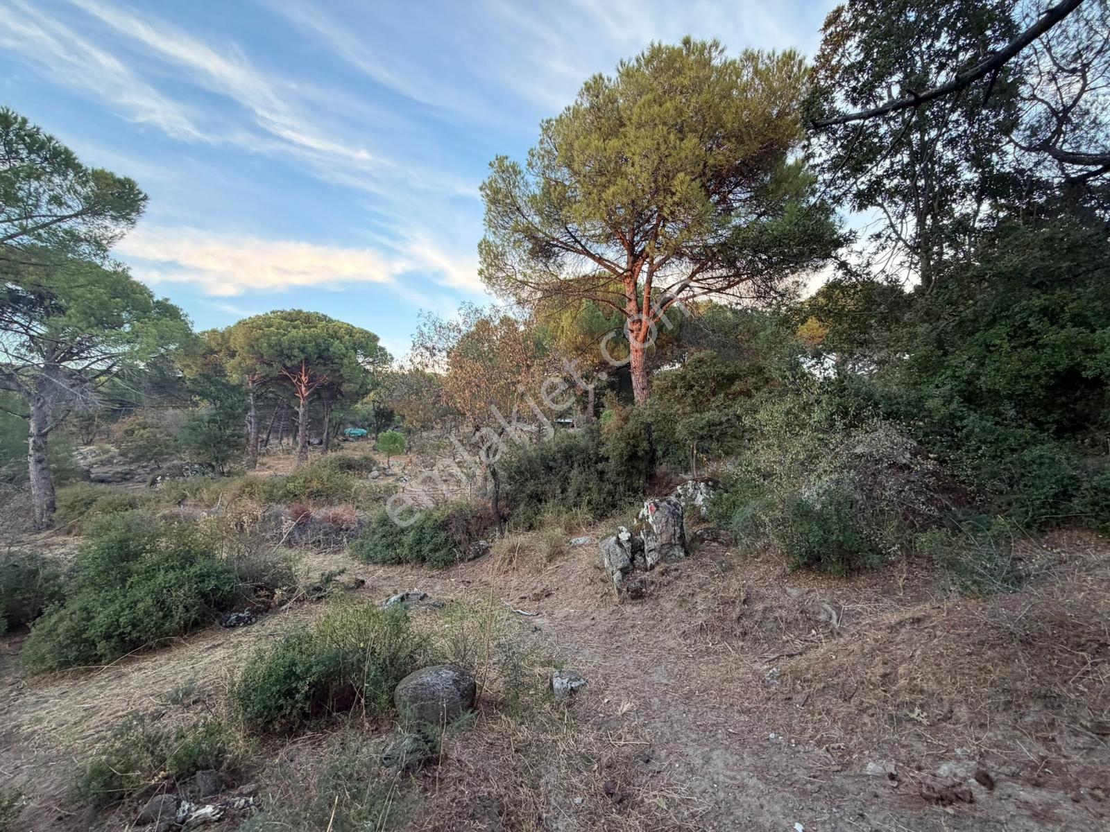 Bergama Hisarköy Mahallesin'de 28.525m2 Satılık Tarla — fotoğraf 12