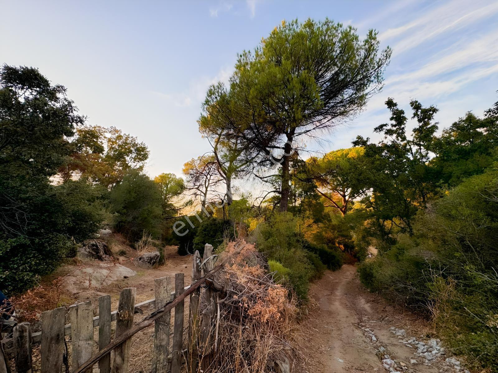 Bergama Hisarköy Mahallesin'de 28.525m2 Satılık Tarla — fotoğraf 17
