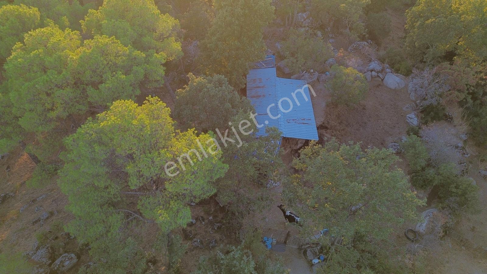 Bergama Hisarköy Mahallesin'de 28.525m2 Satılık Tarla — fotoğraf 18