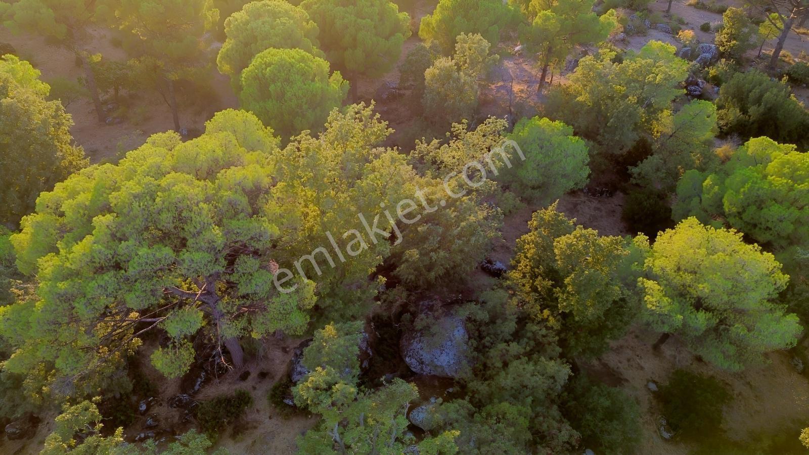 Bergama Hisarköy Mahallesin'de 28.525m2 Satılık Tarla — fotoğraf 19