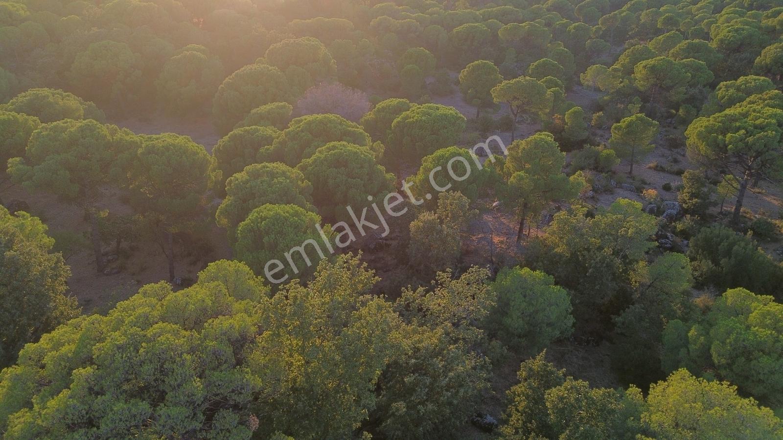 Bergama Hisarköy Mahallesin'de 28.525m2 Satılık Tarla — fotoğraf 20