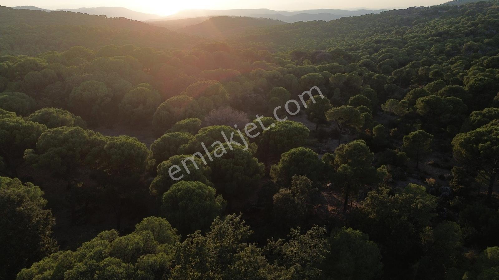 Bergama Hisarköy Mahallesin'de 28.525m2 Satılık Tarla — fotoğraf 24