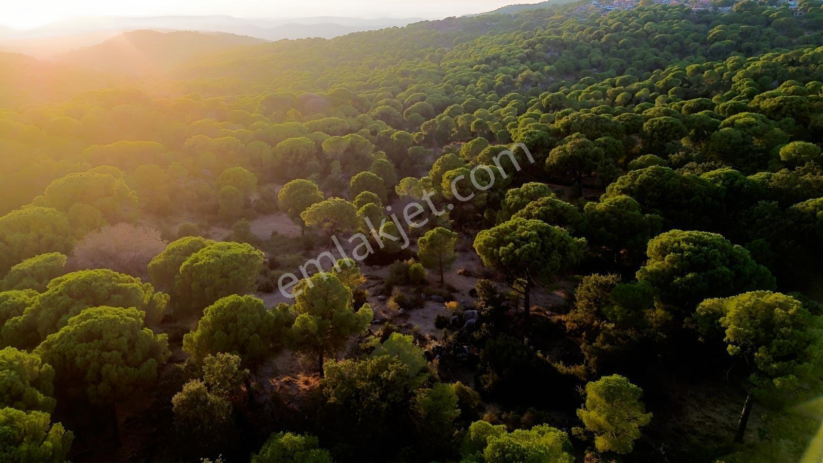 Bergama Hisarköy Mahallesin'de 28.525m2 Satılık Tarla — fotoğraf 25