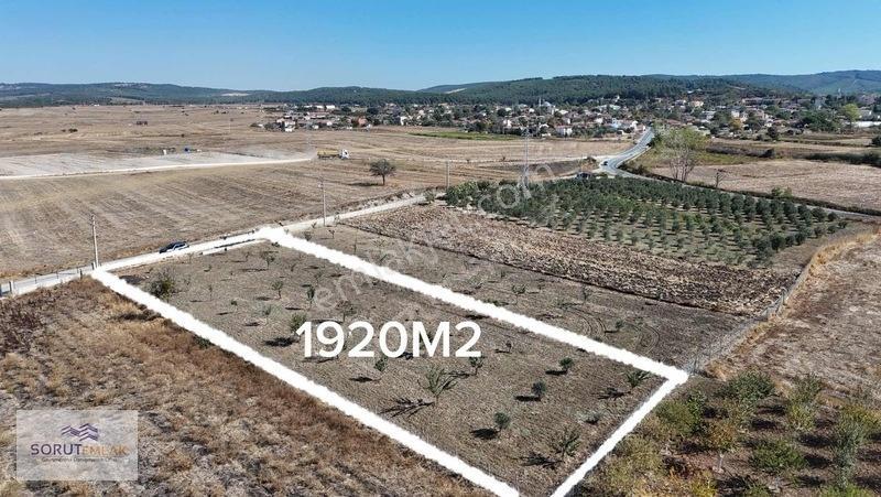 Mecidiye Köyün De 1920M2 Meyve Bahçesi
