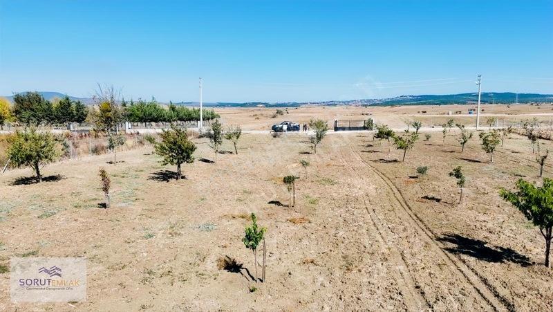 Mecidiye Köyün De 1920m2 Meyve Bahçesi — fotoğraf 2