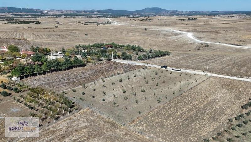 Mecidiye Köyün De 1920m2 Meyve Bahçesi — fotoğraf 5