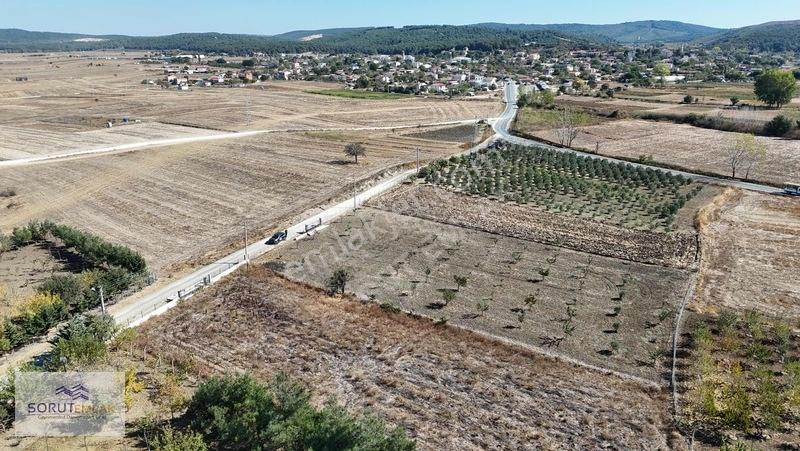 Mecidiye Köyün De 1920m2 Meyve Bahçesi — fotoğraf 7