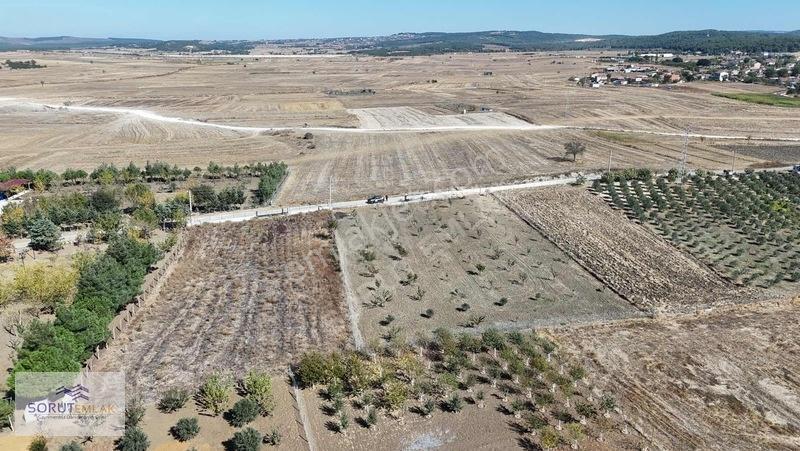 Mecidiye Köyün De 1920m2 Meyve Bahçesi — fotoğraf 8